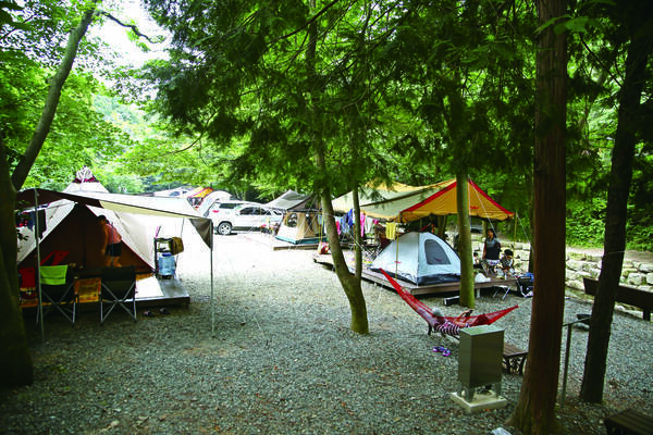 유치자연휴양림 캠핑장에 텐트를 치고 휴식중인 사람들 모습