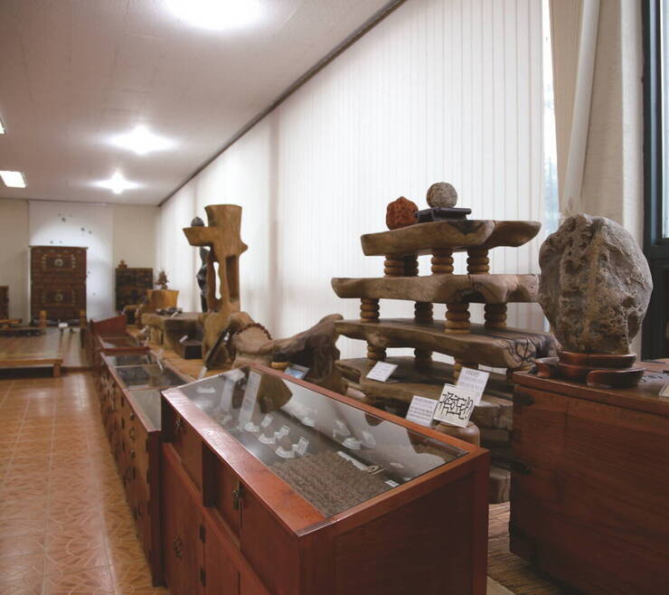 장흥 특산물 ‘귀족호도’의 모든 것을 볼 수 있는 귀족호도박물관. 