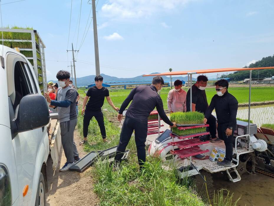 2021년 장흥군4-H연합회 공동과제포 모내기