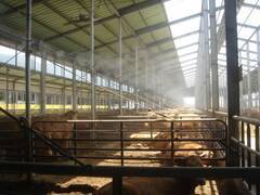 폭염에 따른 가축 피해 예방 현지지도 강화