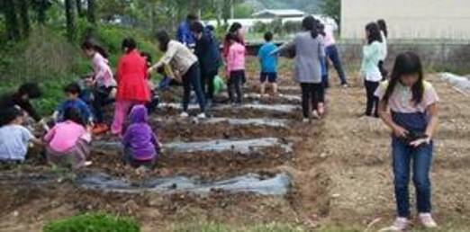 학교4-H 과제교육 지도