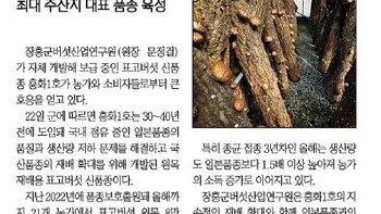장흥, \'흥화1호\'로 표고버섯산업 시장 확대