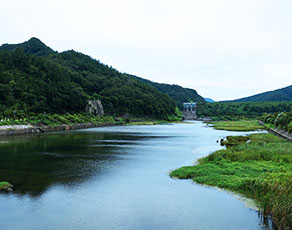 장흥댐주변의 초록빛 봉긋한 산들과 물이 흐르는 전경