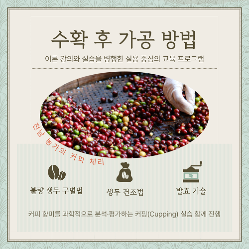 자료
