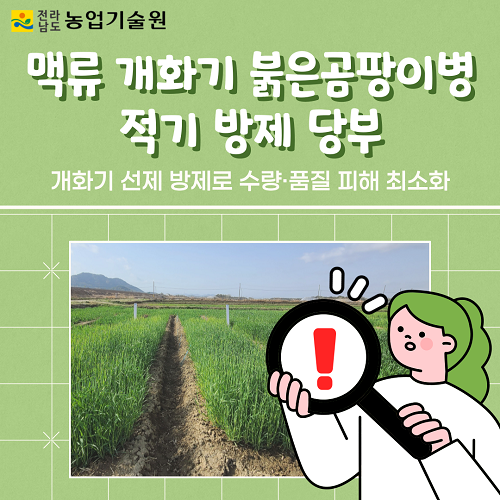 자료