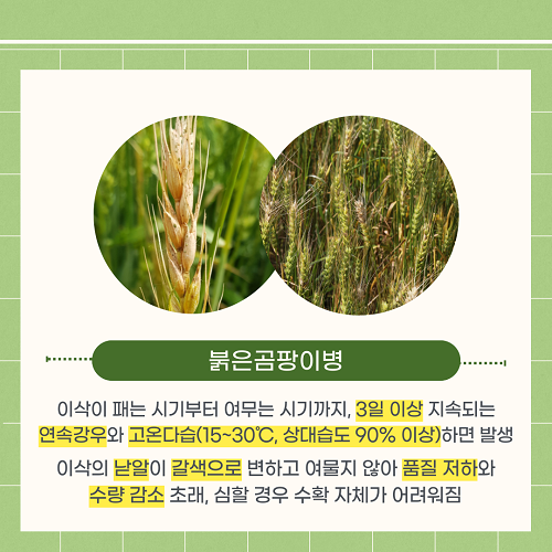 자료