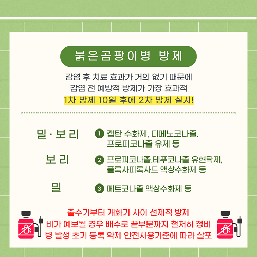 자료