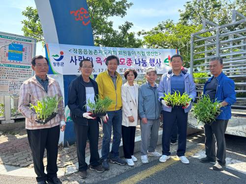 『한국농촌지도자장흥군장흥읍회』 회원들이 직접 생산한 옥수수 모종 나눔 실천