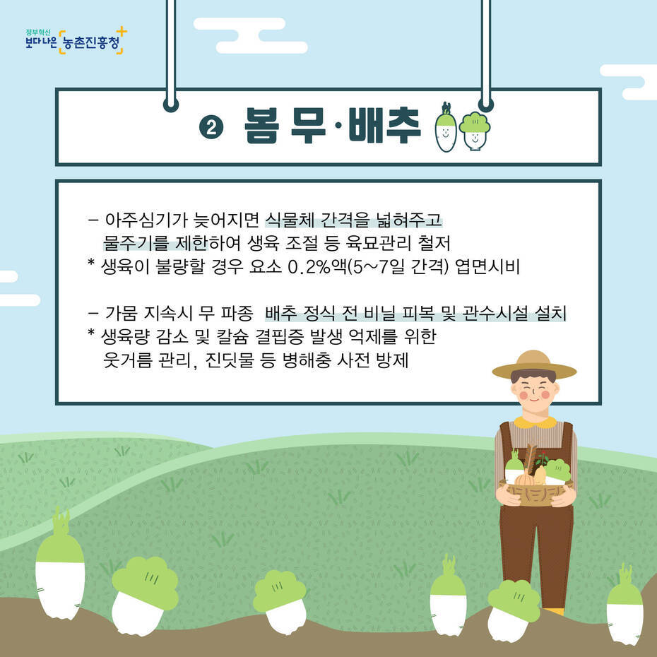 2번 봄 무·배추