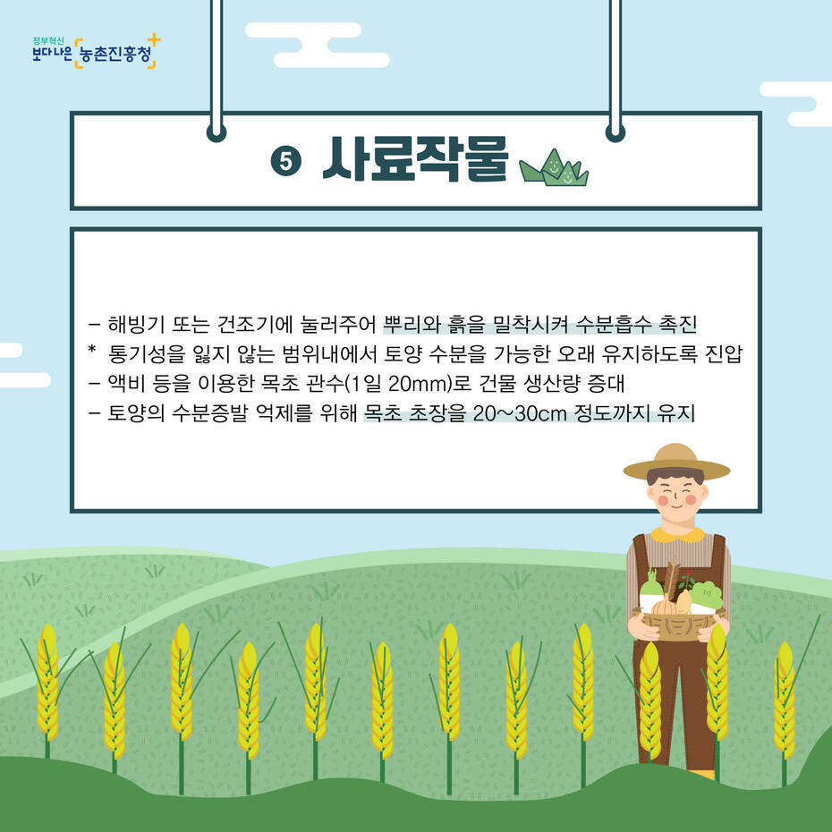 5번 사료작물