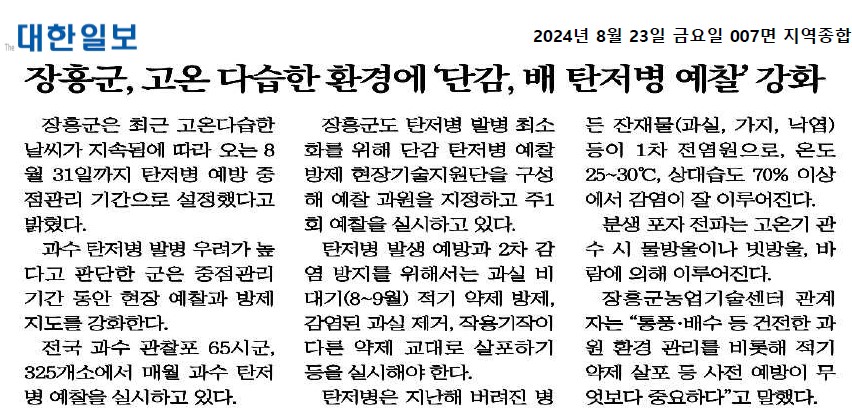 장흥군, 고온 다습한 환경에'단감,배 탄저병 예찰'강화