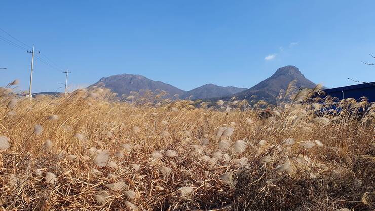 제암산